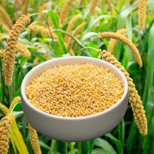Millet Products